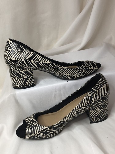 Collection insolia zebra - collection,