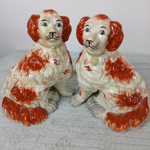 Staffordshire spaniel dog pair - spaniel,