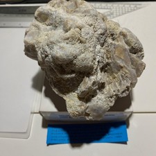 OPALINE CHERT WITH GLOBULAR