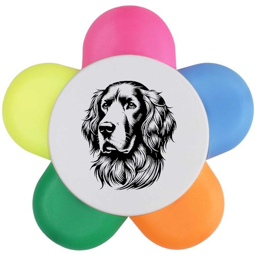 Irish setter flower - setter', shape