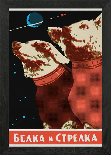 Laika soviet space - space, dog