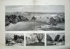 Old Antique Print 1889 Royal