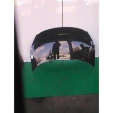 BONNET FOR PEUGEOT 206 PLUS