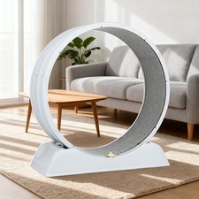 Cat Exercise Wheel Cat