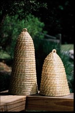 Transitional Tall Bee Skep In