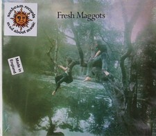 Fresh Maggots-Hatched UK folk