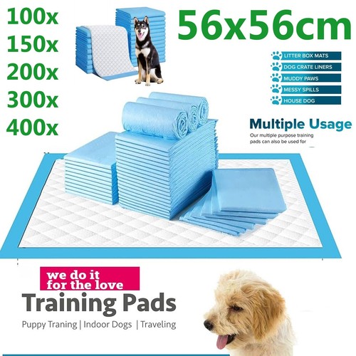 Dog cat puppy training pads - dog,
