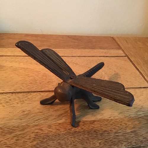 Rustic cast iron dragonfly - rustic,