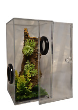 Fully Furnished Jumping Spider Tank