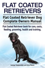 Flat Coated Retrievers. Flat