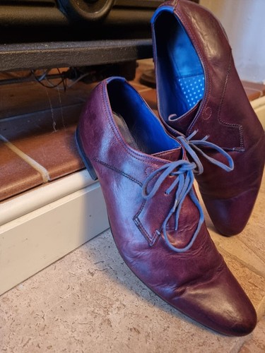 Ted baker oxford - ted, shoes