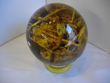 Amber copal man - amber/copal,