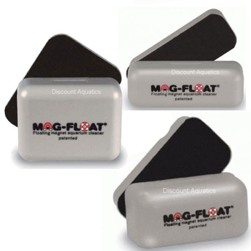Algae magnet floating - algae,