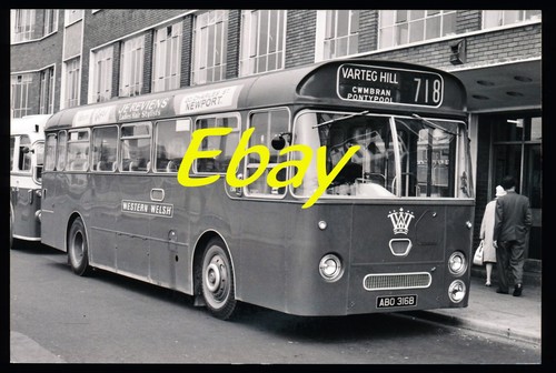 Bus photo leyland tiger cub - bus,