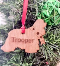 American Cocker Spaniel