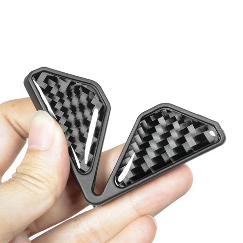 Car carbon fiber door - car,