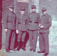 original german ww2 colour