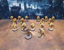 Pro-Painted Imperial Fists