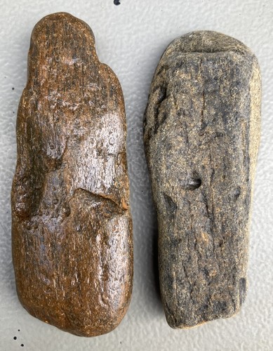 Fossilised whale bone with - bone,