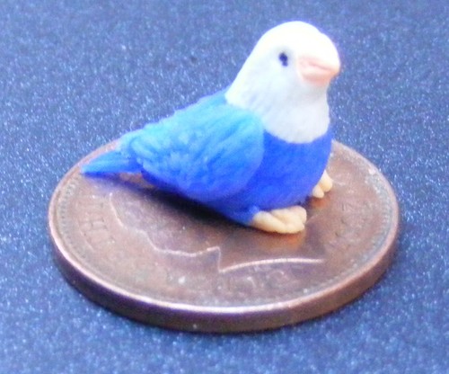 Dolls house blue white bird - &,