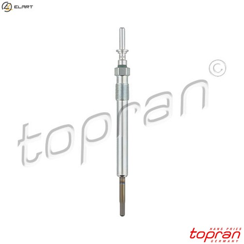 Glow plug 503 043 - plug, for