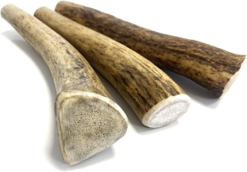 Antler dog chews mini - mini, x