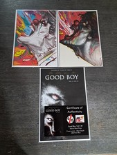 Indie Comic Lot
