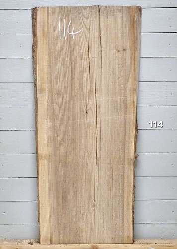 Elm live edge timber - edge, 1250mm