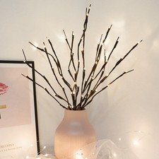  Twisted Willow Branches