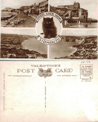 Vintage postcard sidmouth - postcard,