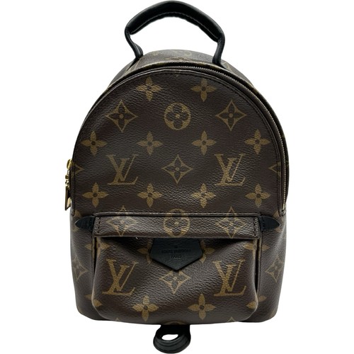 Louis vuitton palm springs - louis,