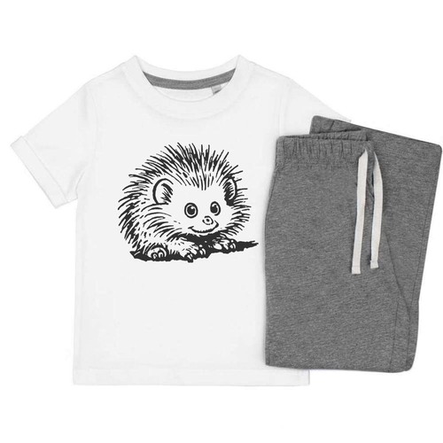 African pygmy hedgehog - hedgehog', kids