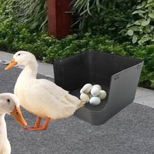 Single Compartment Hens