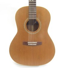 Seagull Mahogany Folk Acoustic