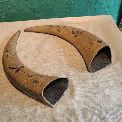 Pair large cow horns - large,