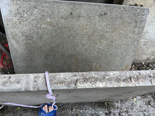 Two large paving slabs 23 - 29, x
