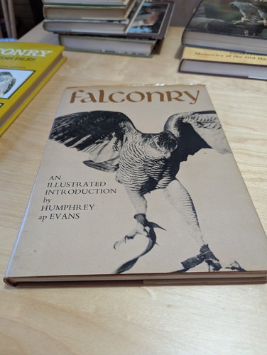Falconry illustrated - an,