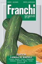 Franchi Seeds of Italy - Pumpkin - Lunga Cilindrica Napoletana - Seeds *