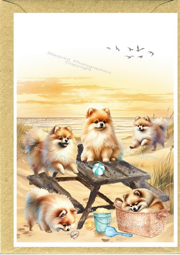 Pomeranian dog greetings card - pomeranian,