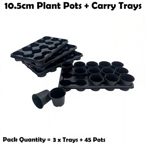 5cm plant pots - x, with