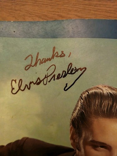 Elvis presley souvenir photo - elvis,