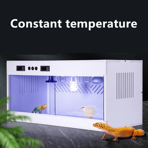 Large reptile terrarium - large,