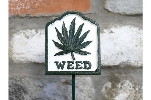 Garden herb sign weed cast - herb,
