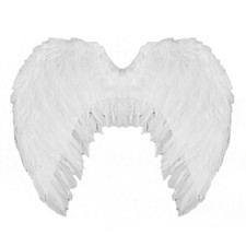 WHITE ANGEL WINGS FAIRY HEN