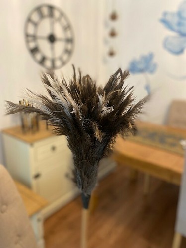 Natural ostrich feather - ostrich,