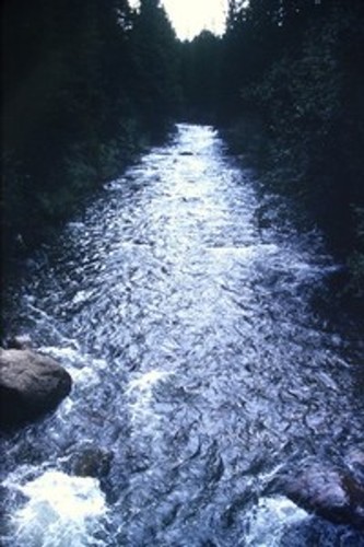 C1970 35mm slide rushing - 35mm,