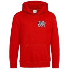 Embroidered Welsh Dragon Kids