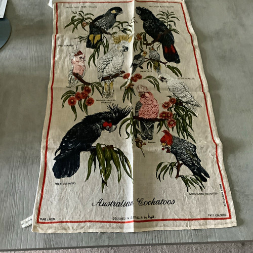 Vintage australian cockatoos - vintage,