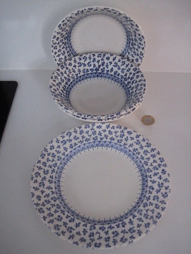 Staffordshire ironstone - x,