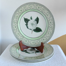 Royal Horticultural Society
